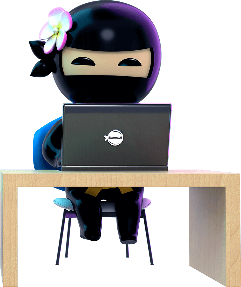 Ninja coding